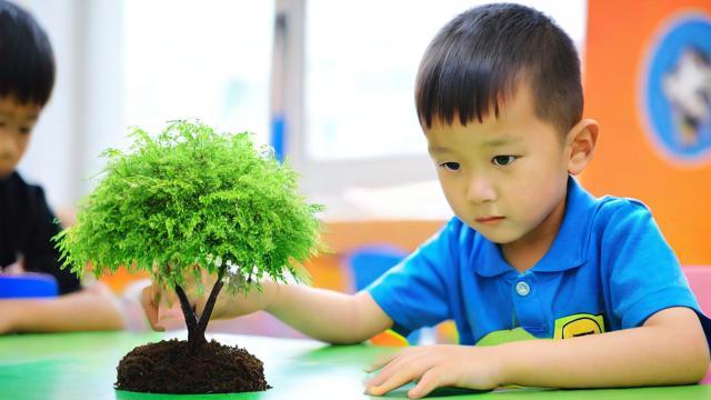 綠化幼兒教育